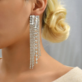 Elegant Glam Shiny Tassel Earring